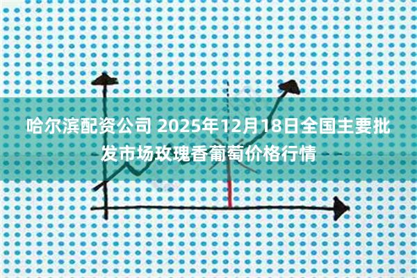 哈尔滨配资公司 2025年12月18日全国主要批发市场玫瑰香葡萄价格行情