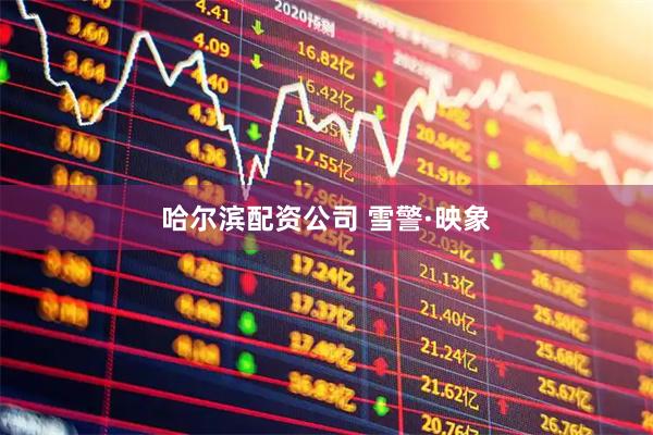 哈尔滨配资公司 雪警·映象