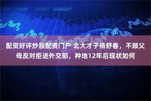 配资好评炒股配资门户 北大才子杨舒春，不顾父母反对拒进外交部，种地12年后现状如何