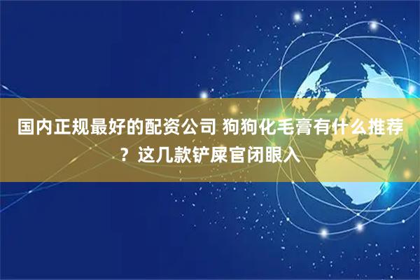 国内正规最好的配资公司 狗狗化毛膏有什么推荐？这几款铲屎官闭眼入