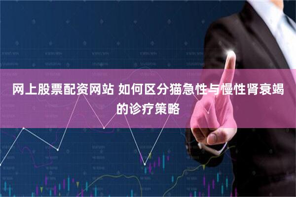 网上股票配资网站 如何区分猫急性与慢性肾衰竭的诊疗策略