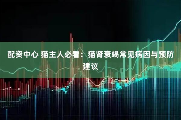 配资中心 猫主人必看：猫肾衰竭常见病因与预防建议