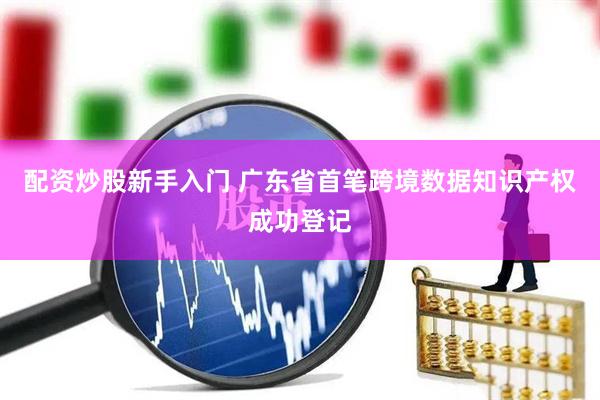 配资炒股新手入门 广东省首笔跨境数据知识产权成功登记