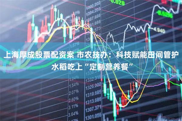 上海厚成股票配资案 市农技办：科技赋能田间管护 水稻吃上“定制营养餐”